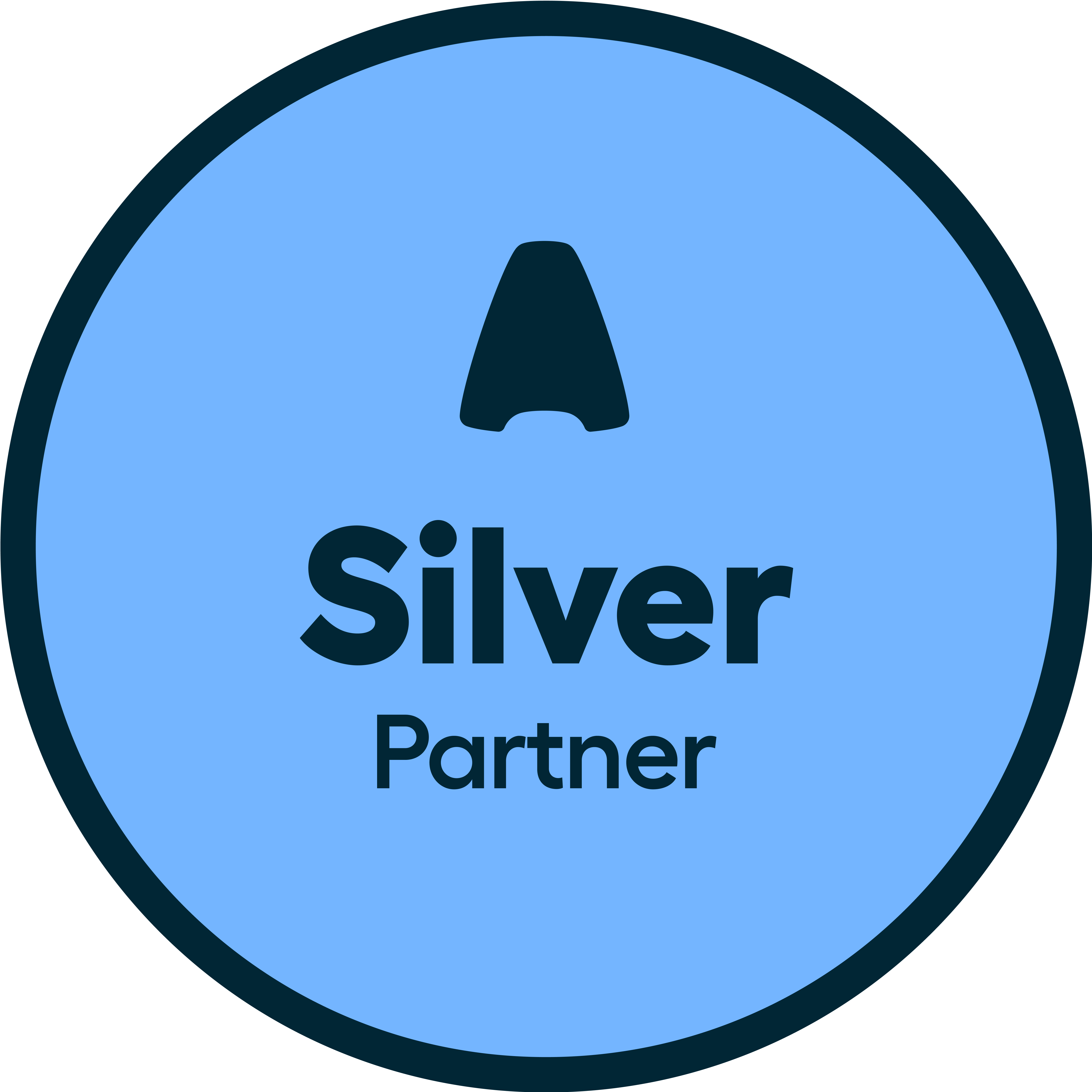 Silver Badge